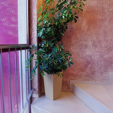 Club Complex * Nessebar