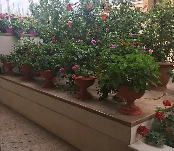 Club Complex * Neszebar